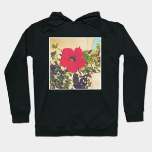 Pretty Red Flower with green leaves nature lovers beautiful photography design Hoodie